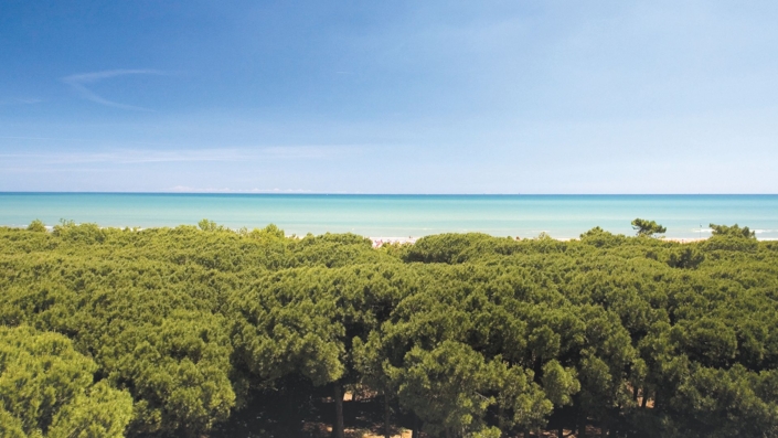 servizi riviera dei pini